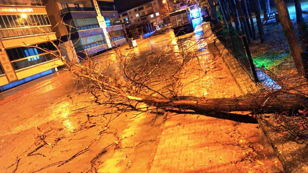 Karlar eriyor, Konya'yı besleyen göller doluyor 4